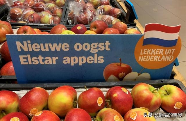 不产三瓜俩枣的欧洲倒爷荷兰，一倒手水果出口量就占欧洲的20%