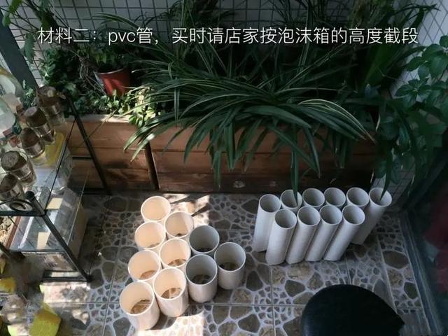 乐夕：楼顶阳台种菜，试试这样自制免浇灌种菜箱，一个月不用浇水