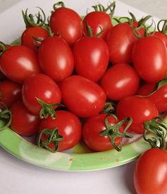 盆栽西红柿，必要的“小技巧”，硕果累累，吃都吃不完