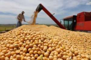 阿根廷大豆种植成本-农业算大账系列（1月第2周）大豆、菜籽及油脂等经营利润监测
