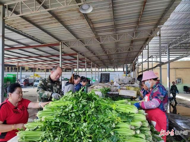 榆中县：蔬菜产业铺就致富路