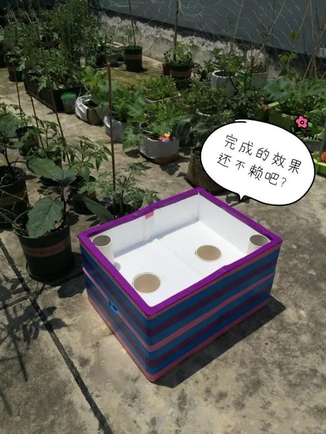 乐夕：楼顶阳台种菜，试试这样自制免浇灌种菜箱，一个月不用浇水