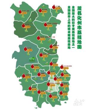荔枝种植基地-特色品种大盘点茂名化州发布荔枝地图