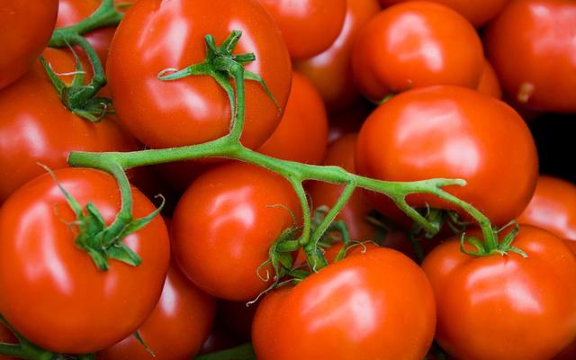 绿色番茄栽培技术，这样操作，省时，省力，还能高品质