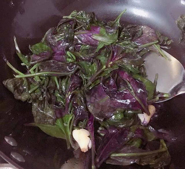 这种野菜你可能还不知道它的名字，爆炒紫背天葵，能预防多种疾病