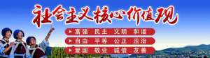丽江 种植 公司-「丽江热线」种植茶叶12万亩，茶农增收910万元……丽江这里的村民走上致富路