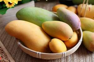 芒果适合几月份种植-春天吃芒果，金煌芒、台芒、贵妃芒、青芒谁更值得买？差别大了