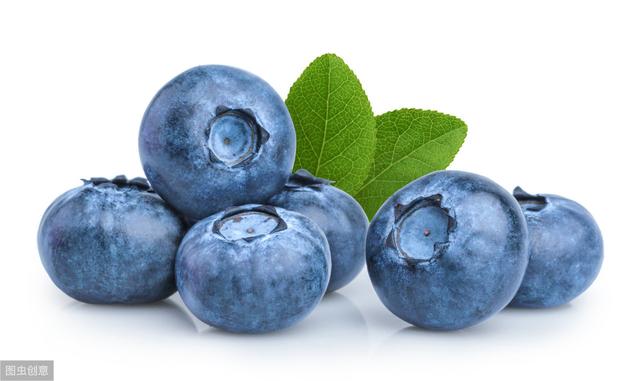 蓝莓栽培怎么选择品种？自身特点是基础，栽培目的是关键