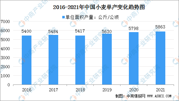 2021年中国小麦行业运行情况总结及2022年行业走势预测
