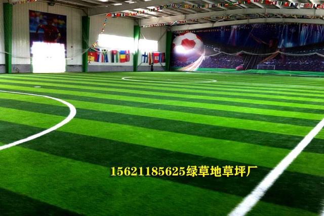 室内足球场假草坪：打造无季节限制的足球乐园