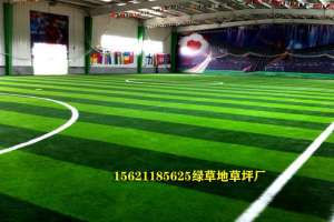 室内种植草坪-室内足球场假草坪：打造无季节限制的足球乐园