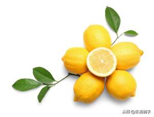 香水柠檬种植方法-家庭种植新鲜水果香水柠檬盆栽绿植，如何养到硕果累累枝繁叶茂
