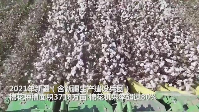 新华全媒+｜高效省力！新疆棉花开始播种啦