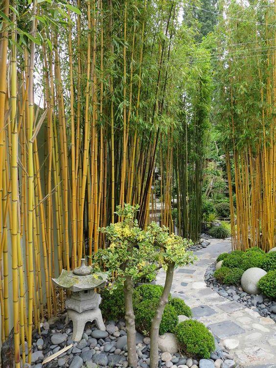 庭院竹子造景及其文化内涵