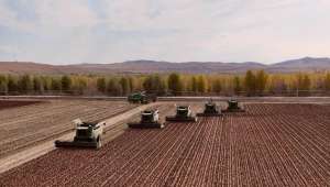 高粱种植机械-震撼收割场面：兴安盟这家农场高粱喜获大丰收