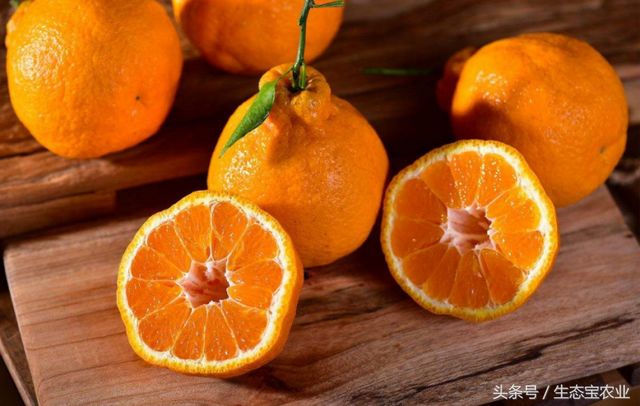 不同柑橘品种的栽培要求以及种植区域