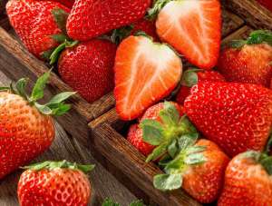 diy种植草莓-草莓——甜蜜自家种，打造乐园