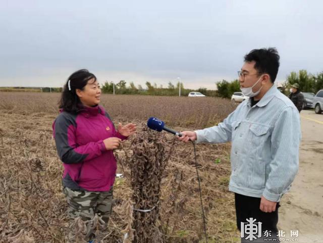 黑龙江省5个大豆品种测产 平均亩产263.4公斤
