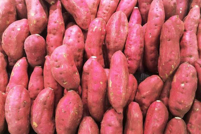 如何增加红薯的数量？红薯高产措施有5个，专业大户如是说