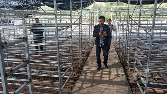 西峡县回车镇：新建香菇种植基地 振兴农村特色产业