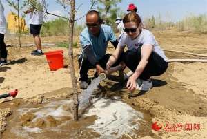 内蒙古 甘草种植-治沙技术见证库布其的“绿色奇迹”