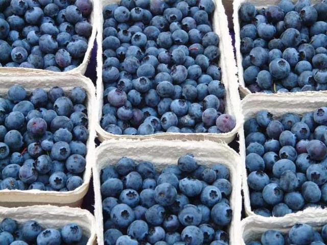 樱桃、蓝莓、枇杷…“浙”些初夏水果采摘地 吃上3天3夜都不够