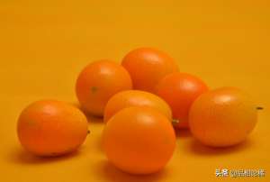 脆皮金桔种植-柑橘种植：脆皮金桔种植技术