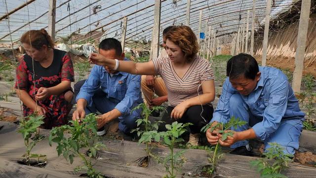 乌尊镇：​大棚蔬菜种植技术培训，助农增收