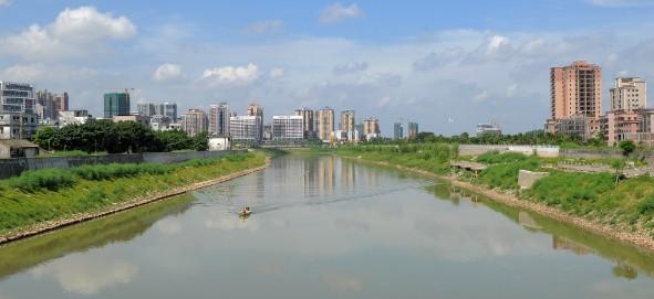 惠州淡水河重现清波“阔别”多年蓝刀鱼回来了