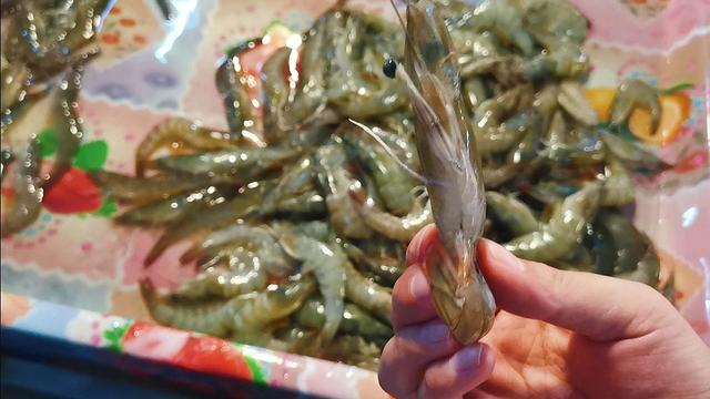 买虾时，如何辨别养殖海虾和纯海虾？牢记3点，一眼就能看出区别