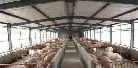 2020年养殖猪牛羊鸡等前景如何？养殖业面临的困境有哪些？