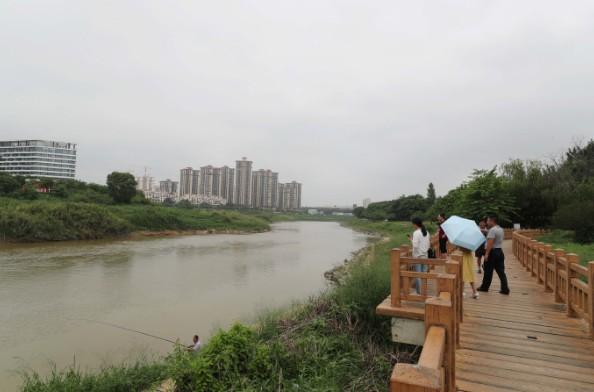 惠州淡水河重现清波“阔别”多年蓝刀鱼回来了
