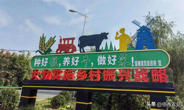 皖北“藏”着一座牛县城，曾是国家贫困县，今成网红打卡地