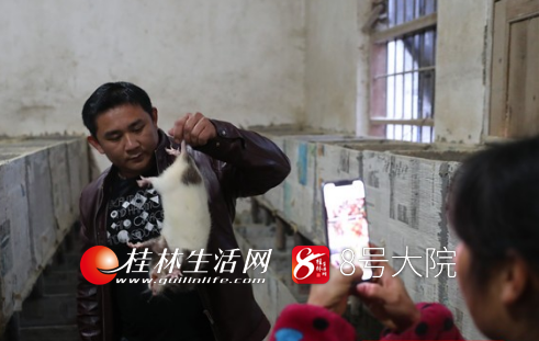 桂林农民“网红”直播卖竹鼠！全网粉丝30多万，每年卖上万只竹鼠