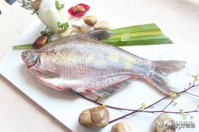一篇说全黑龙江省经济鱼类“三花五罗十八子”，建议收藏！