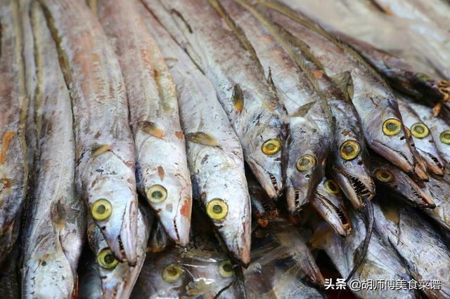 入秋后，老渔民专买这4种鱼，因为目前无法人工养殖，便宜又好吃