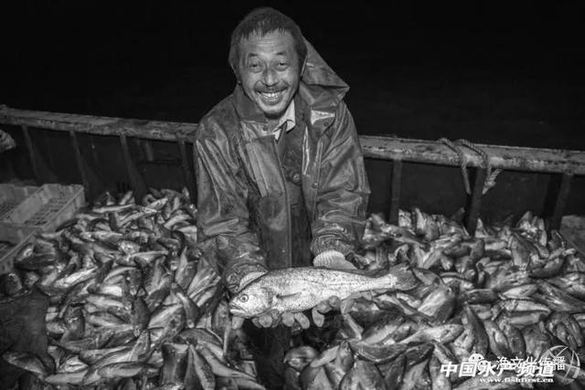用3年时间，将东海野生大黄鱼资源恢复到1000吨