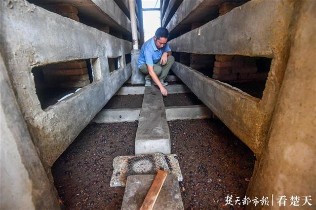 在武汉最北极的村子里，村民养土鳖月入万元