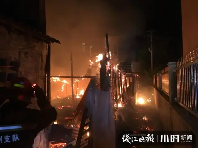 杭州养殖场凌晨大火，唯一幸存了一只小黄鸭！它的命运会如何？