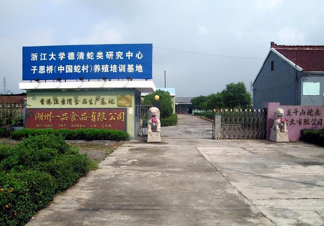 “中国第一蛇村”！150户人家养数百万条蛇，为何鲜有年轻人继承