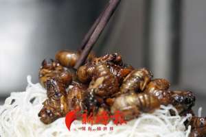 养殖的蚂蚱能吃吗(金蝉、蚂蚱能吃了吗？网传“禁食令”解除，权威部门：系误读)