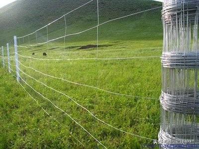 草原养殖用网—牛栏网