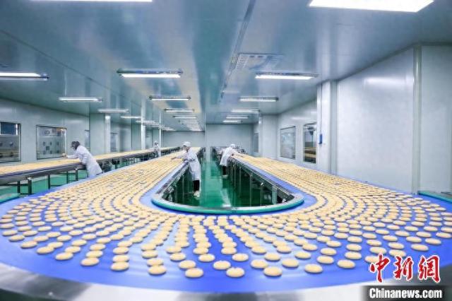 江西瑞昌：小鸭蛋孵出亿元大产业，赋能乡村振兴