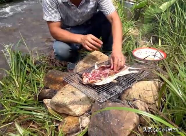 华农兄弟：这只竹鼠光吃不长肉，为了节省成本，只好拿去河边烤了