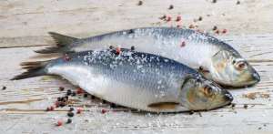 青鱼养殖利润(“四大家鱼”之一的青鱼，现在为何很少有人养殖？)