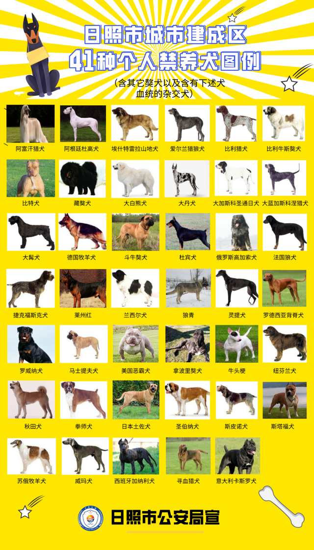 藏獒、狼青、德牧......这41种犬在日照禁养
