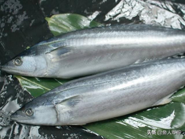 市场上没法人工养殖的几种鱼，纯野生，放心食用