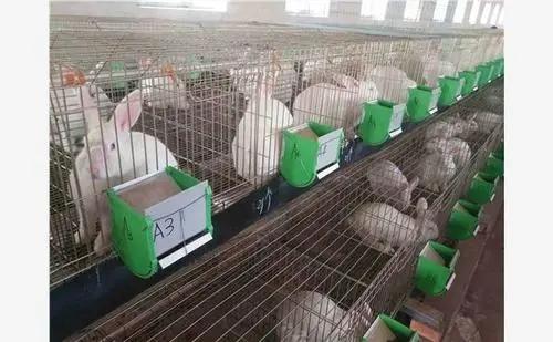 河南省乡村振兴网：济源市乡村产业振兴 小兔子大产业 强融合促共赢