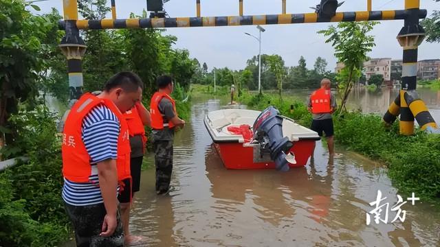广东省茂名市遭遇暴雨鳄鱼养殖场75条鳄鱼出逃。现在彭村塘的湖中