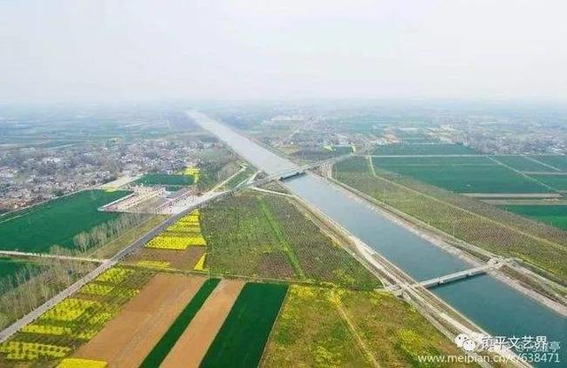 河南有个小村庄，成为全国最大锦鲤养殖基地